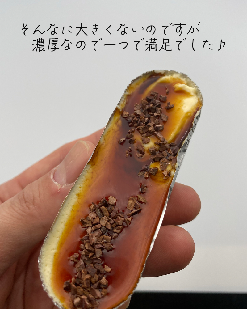 カカオダストチーズケーキ食べてみた